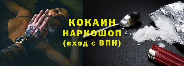 PSILOCYBIN Аркадак