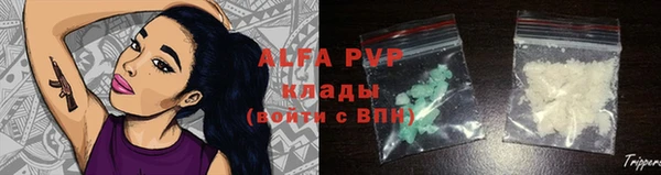 PSILOCYBIN Аркадак