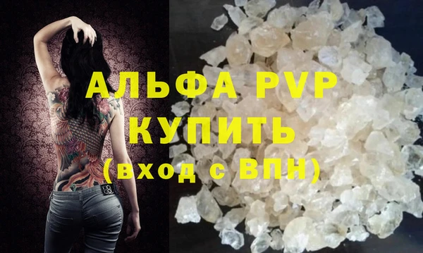 PSILOCYBIN Аркадак