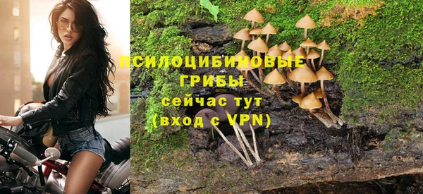 PSILOCYBIN Аркадак