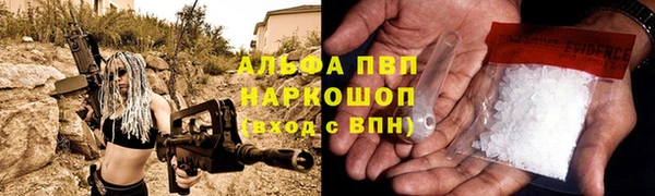 PSILOCYBIN Аркадак