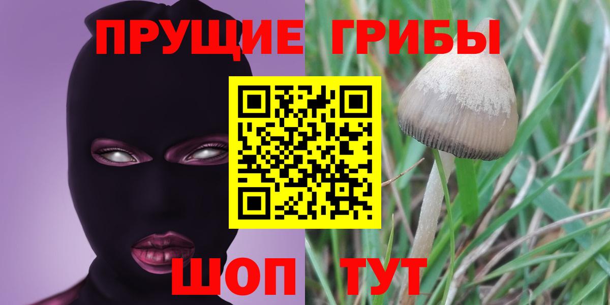 Верхняя Салда  Псилоцибиновые грибы Psilocybine cubensis  Вход с VPN 